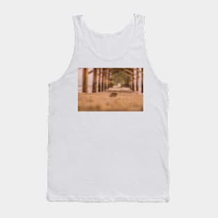 Shells scapes Tank Top